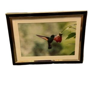 NWOT RACHEL ZOE‎ Hummingbird Gold  Trim 5” x 7”